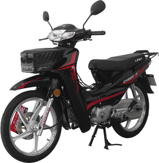 CHEETAH 110 negra 2